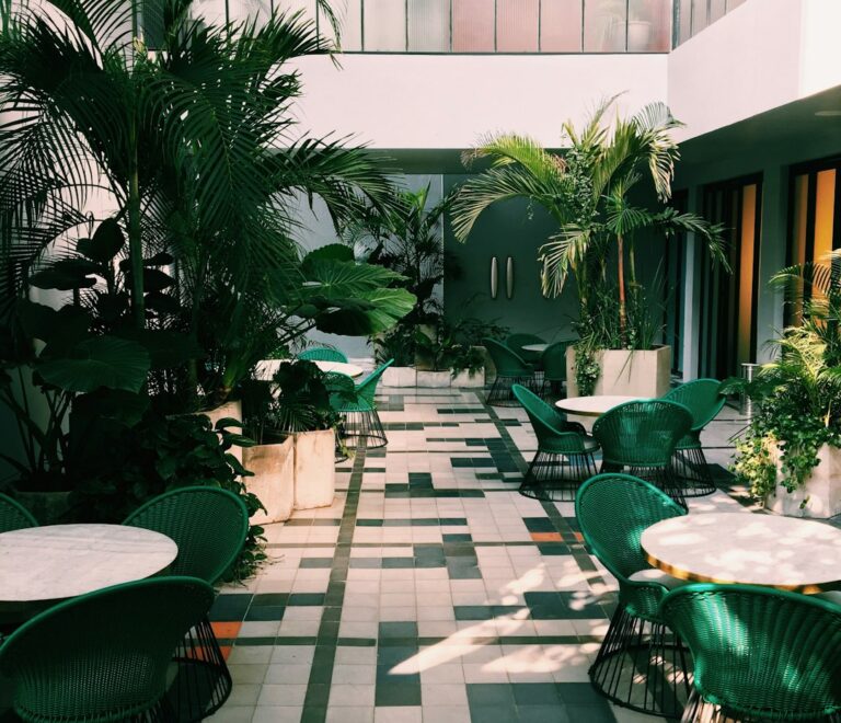 Unleashing Luxury: The Top Pet Resort in Las Vegas for Your Furry Friends